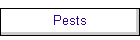 Pests